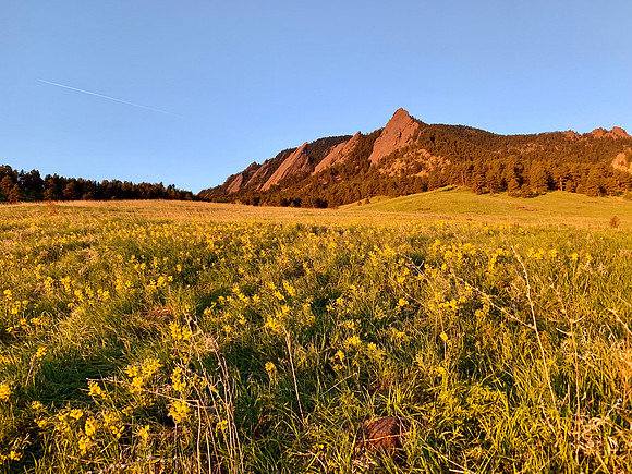 Flatirons at Sunrise